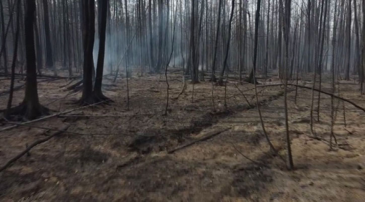 Общая площадь лесных пожаров в Свердловской области больше 6000 гектаров