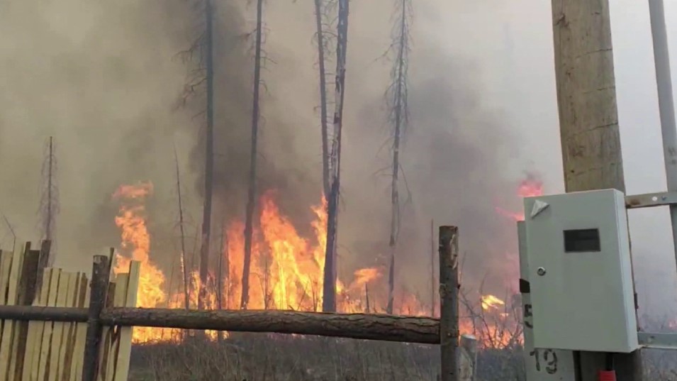 В Ревде сегодня весь день боролись с крупным лесным пожаром