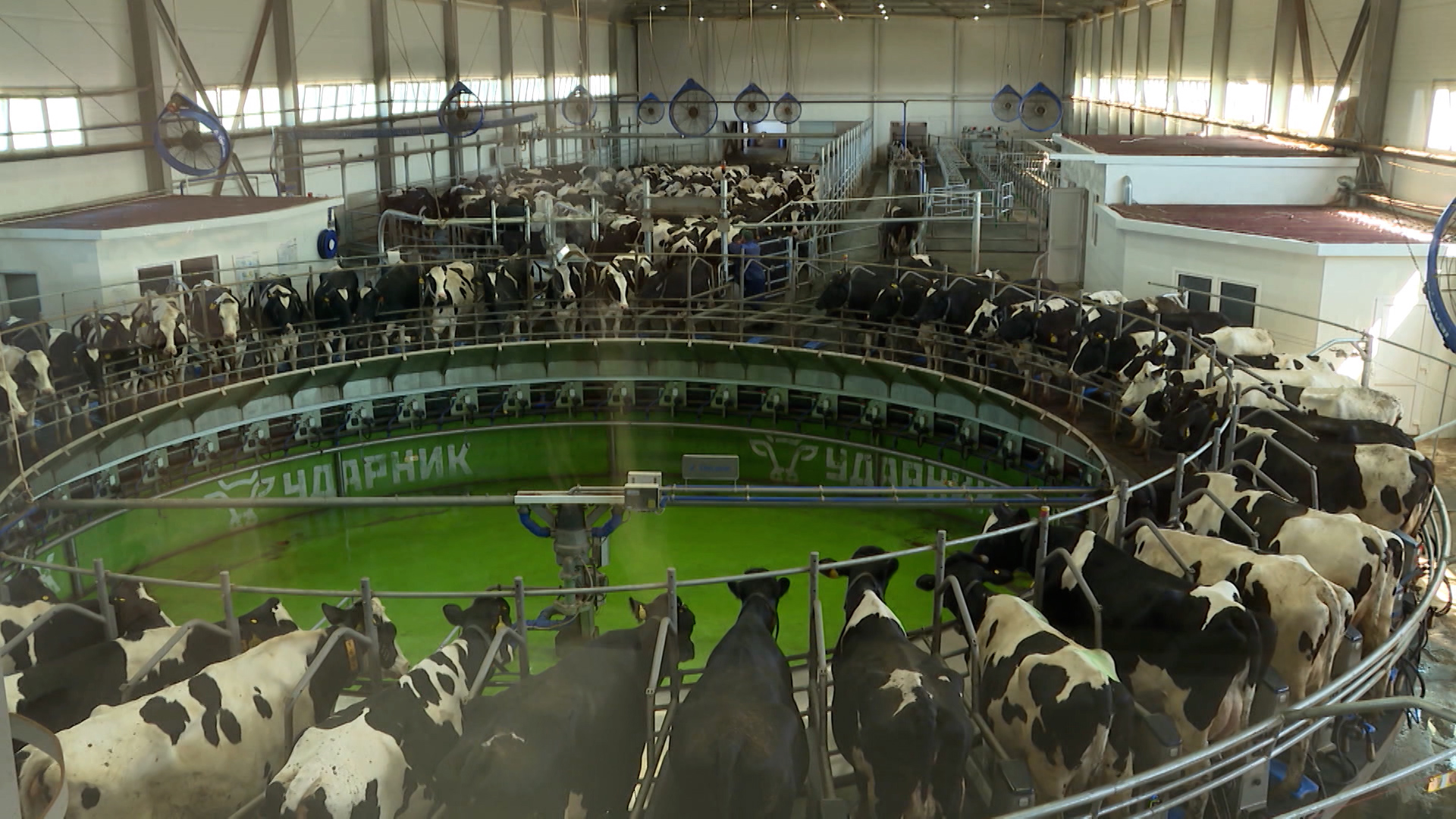 Уральские хозяйства на сто процентов обеспечивают регион молоком