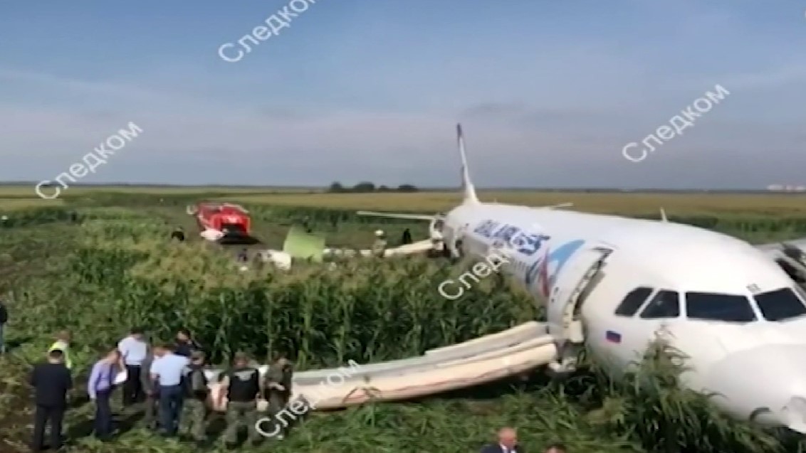 Стали известны причины аварийной посадки самолёта на кукурузном поле