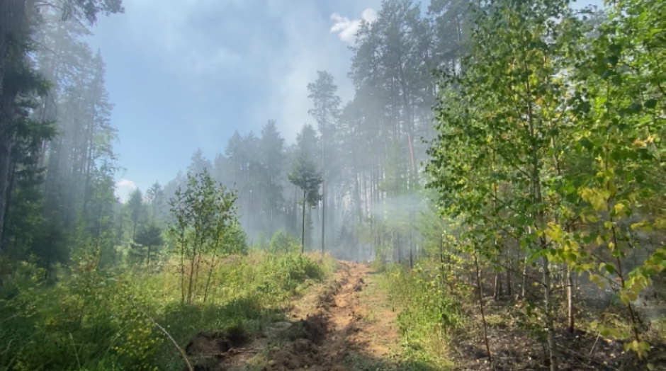 Ситуация с природными пожарами в Свердловской области стабильная