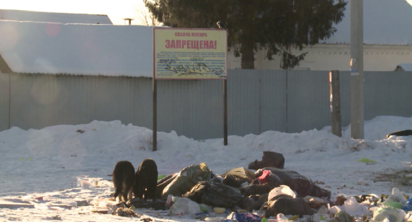 Стихийная свалка появилась на улице Новосибирской