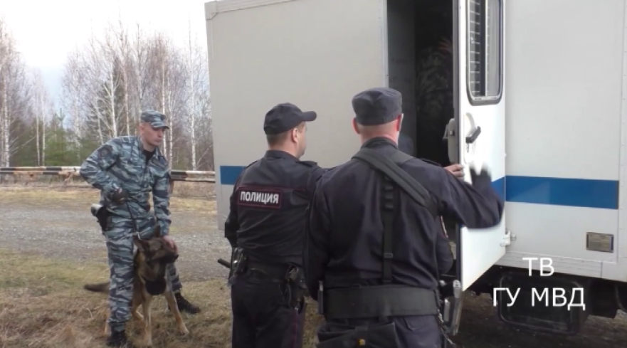В Серове заключили под стражу сотрудника пилорамы