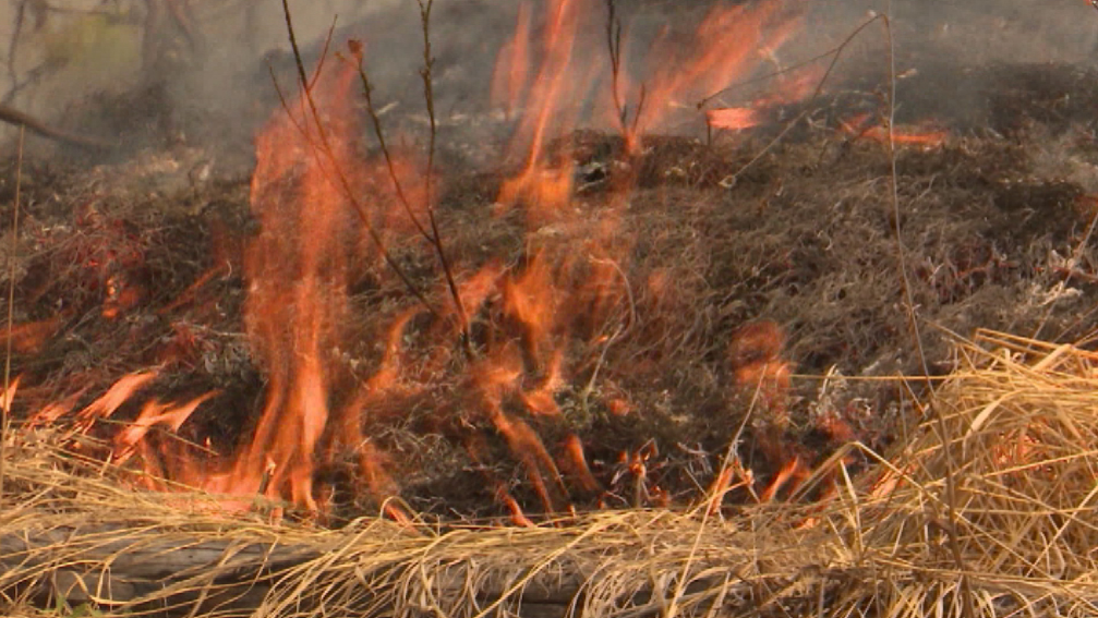 На Урале продолжают действовать 22 природных пожара
