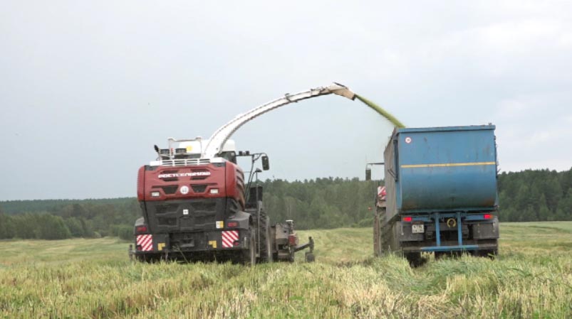 Аграрии начали убирать с полей кормовые культуры