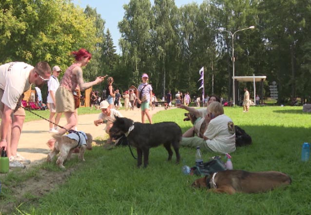 В Екатеринбурге прошёл фестиваль домашних питомцев