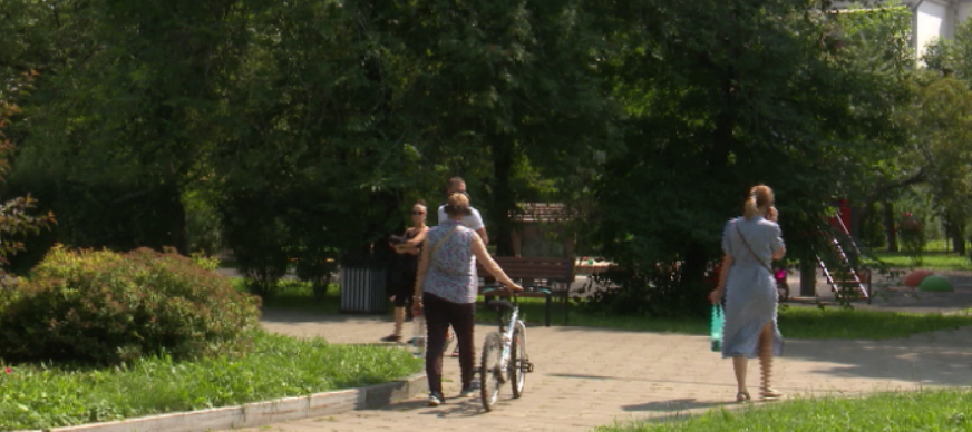 В регионе на несколько дней задержится теплая сухая погода