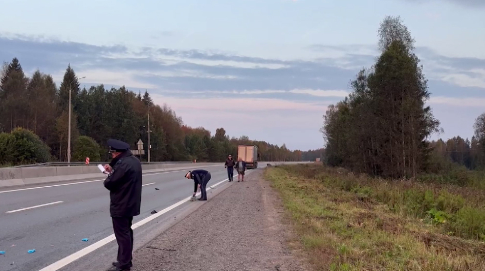 В районе Ачита под колесами грузовика погиб пешеход