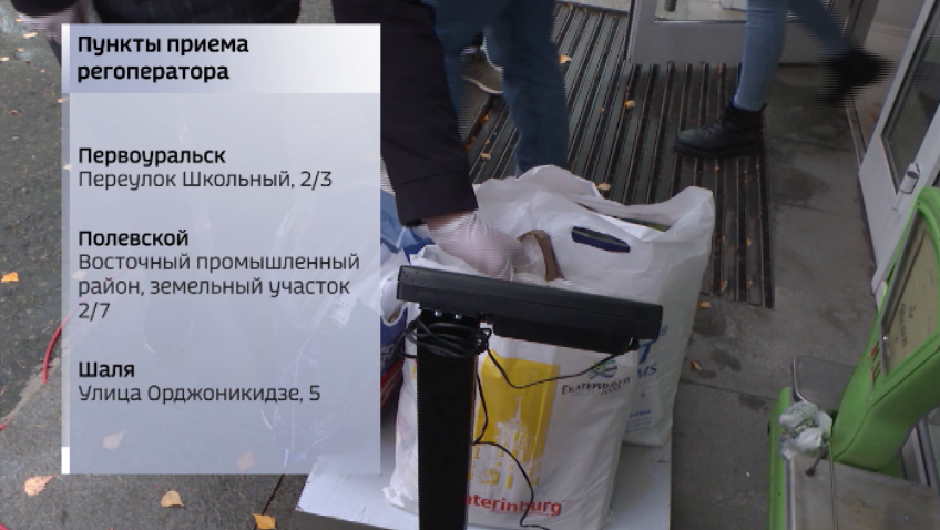 Новые пункты приёма макулатуры открыли в Свердловской области
