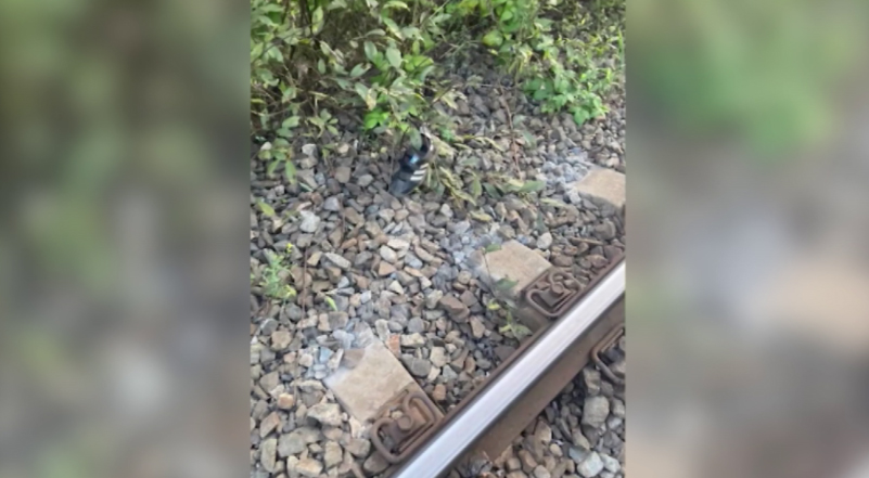 В Екатеринбурге школьник сорвался с грузового состава